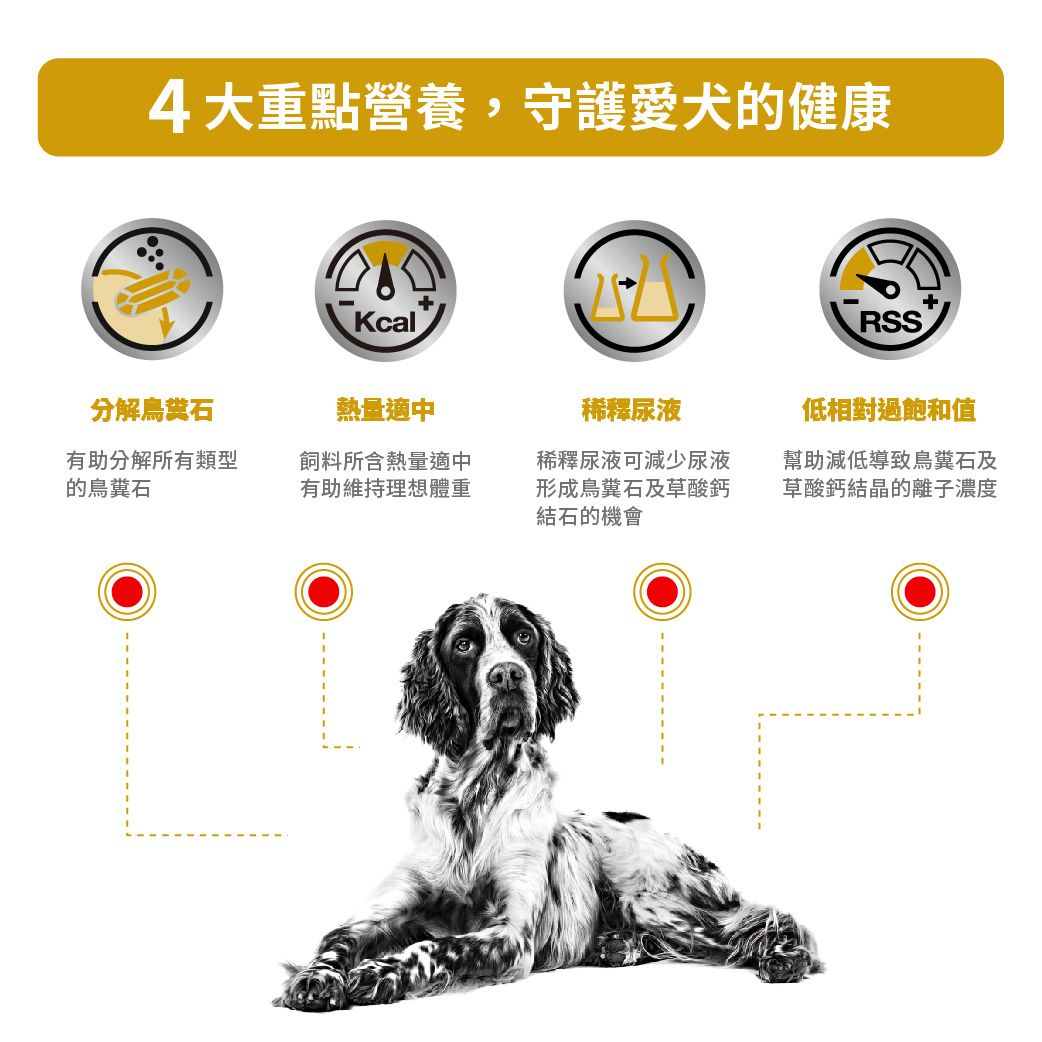 成犬泌尿道處方袋裝濕糧 （適量卡路里肉汁）