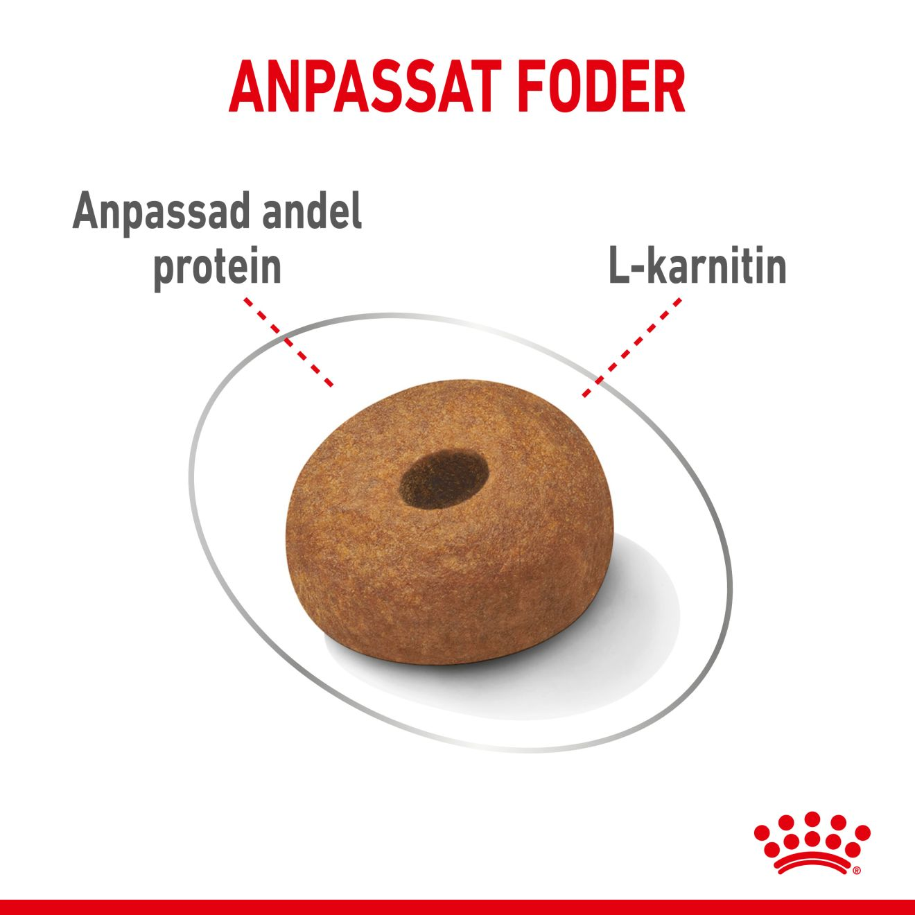 Maxi Light Weight Care