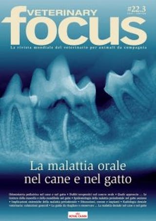 La malattia orale nel cane e nel gatto