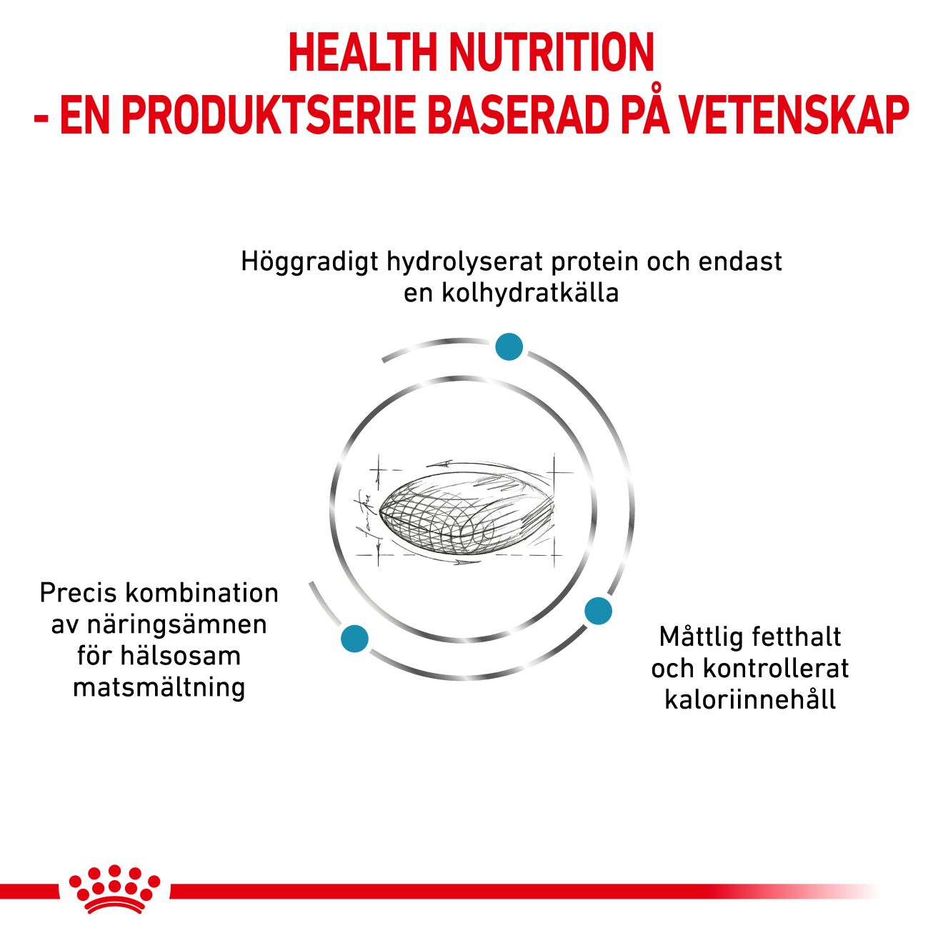Derma Hypoallergenic Moderate Calorie