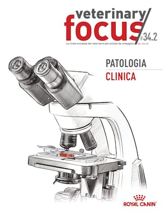 Patologia clinica