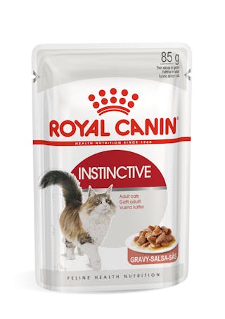 FHN Instinctive Cat (Gravy)