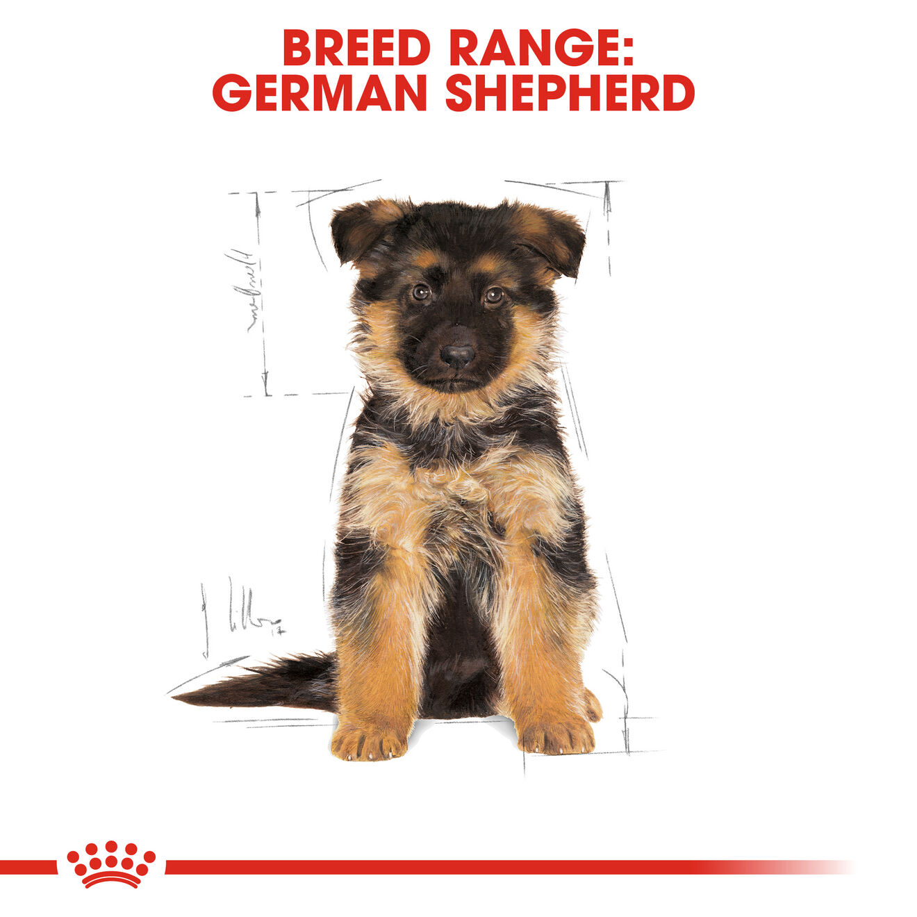 Royal canin for hot sale puppy german shepherd