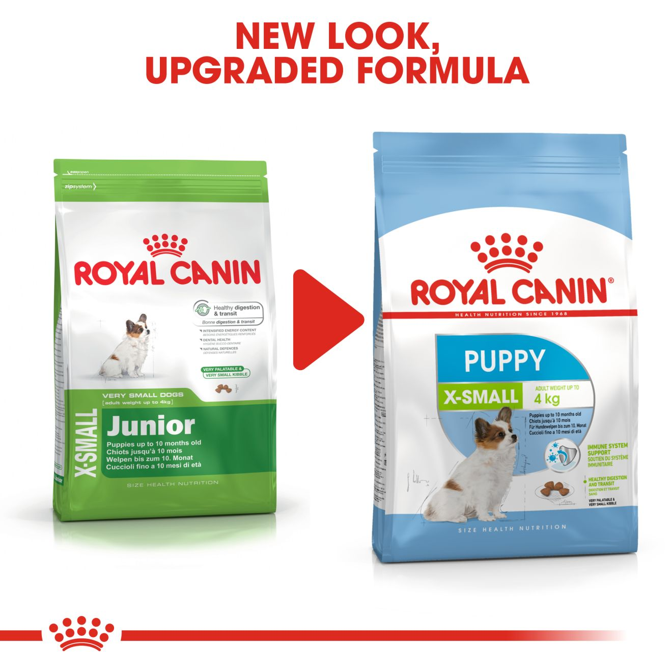 royal canin small puppy dry dog food