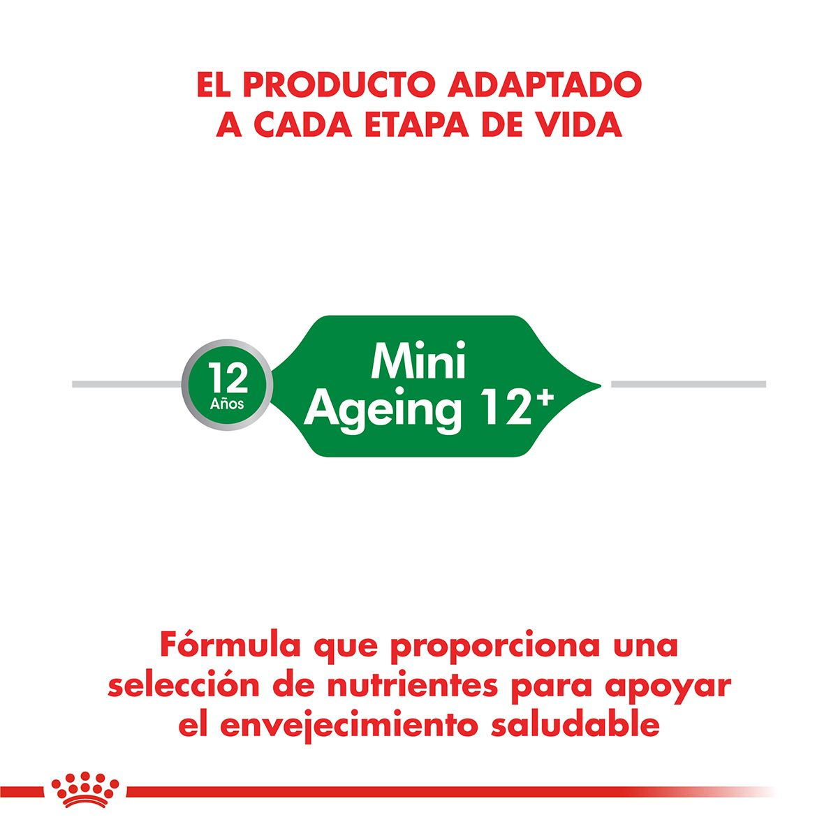 Mini Ageing 12+