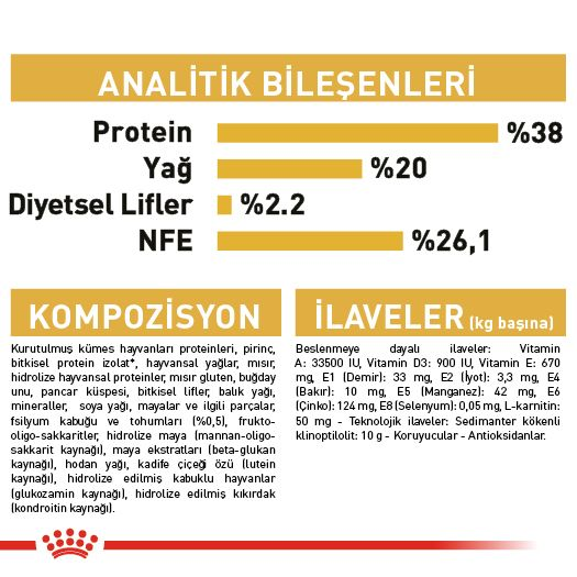 British Shorthair Kitten Yavru Kedi Kuru Maması