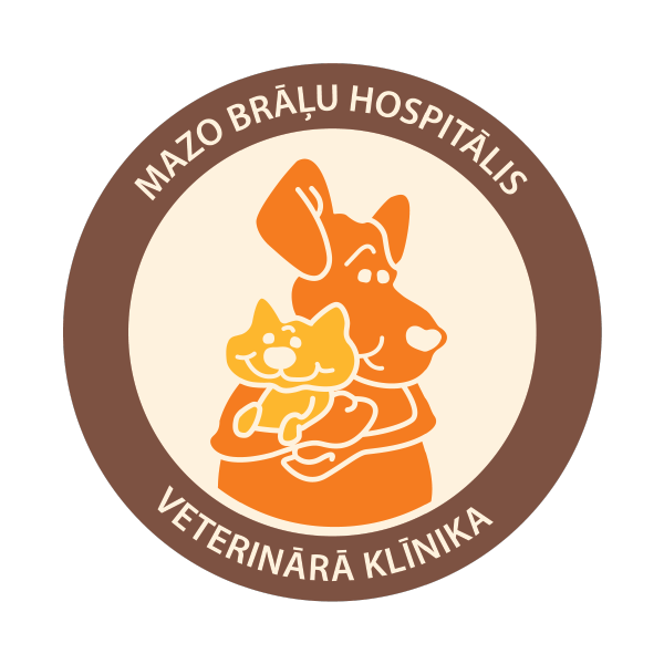 Mazo brāļu hospitālis