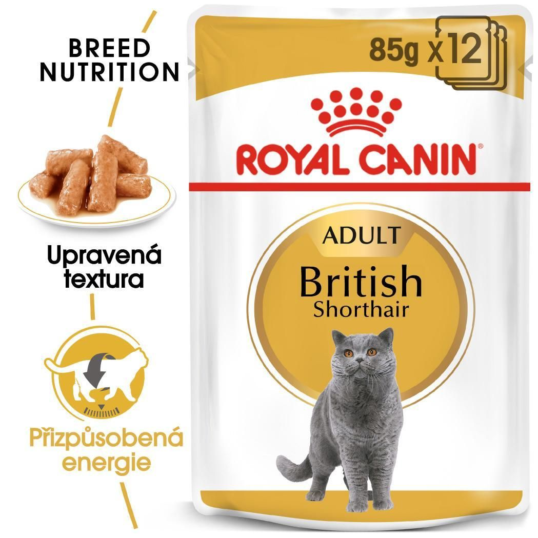 BRITISH SHORTHAIR kousky ve šťávě