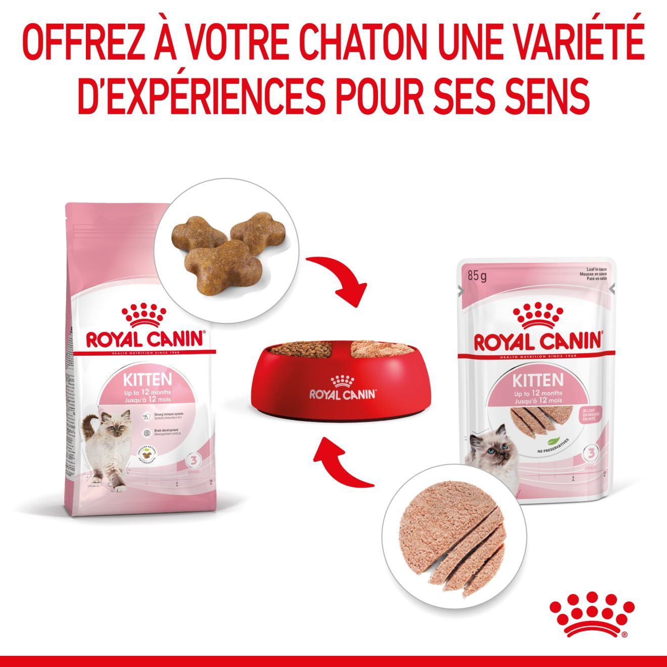 Kitten Mousse - Sachet fraîcheur pour chaton