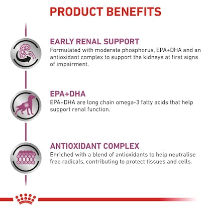 RC-VET-DRY-DogEarlyRenal-Eretailkit-B1-CV-3