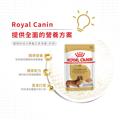 Royal Canin _臘腸狗成犬專屬主食濕糧（肉塊）_正方形_HK_3