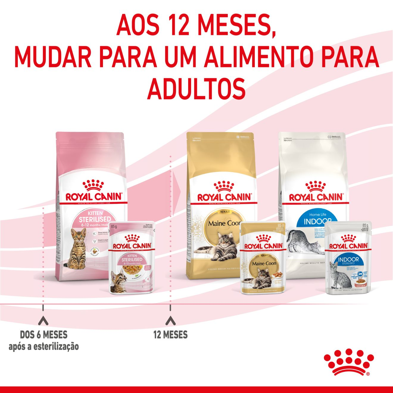 KITTEN STERILISED Chunks in jelly