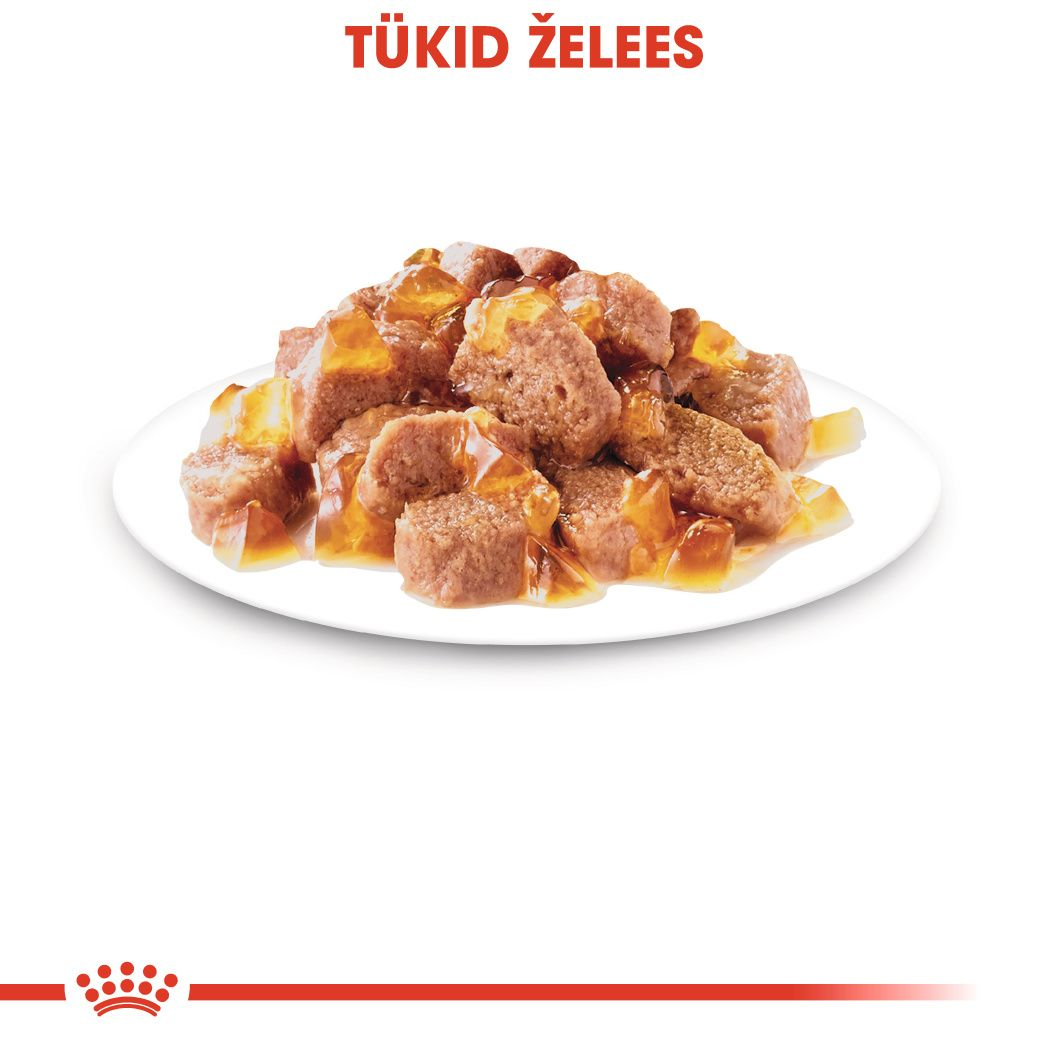 Royal Canin Sterilised konserv (õhukesed viilud želees)
