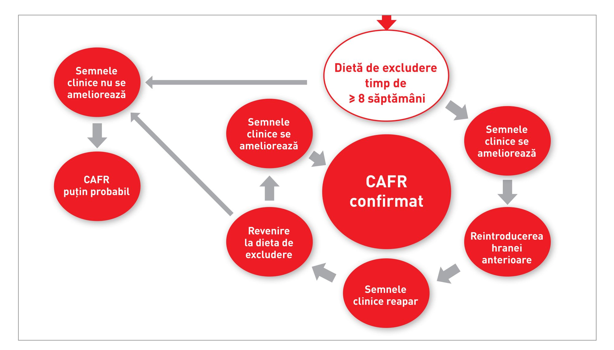 Reacția adversă la hrană cu manifestare cutanată la pisici