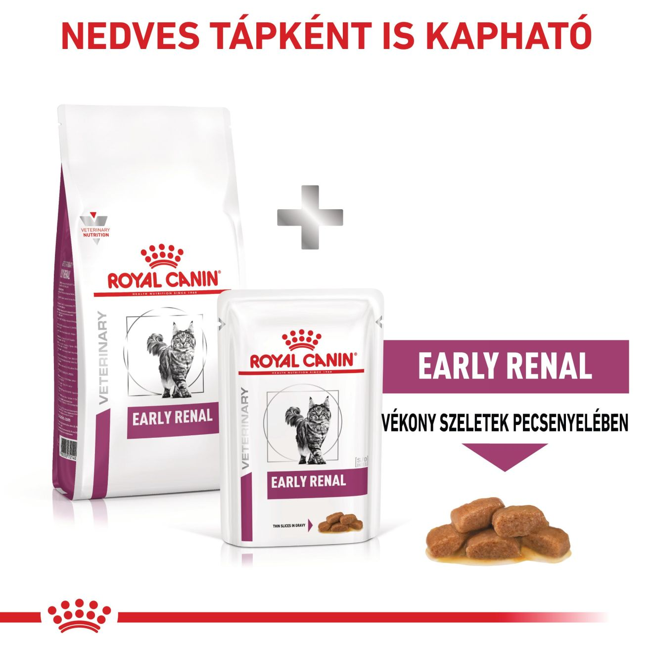 Early Renal