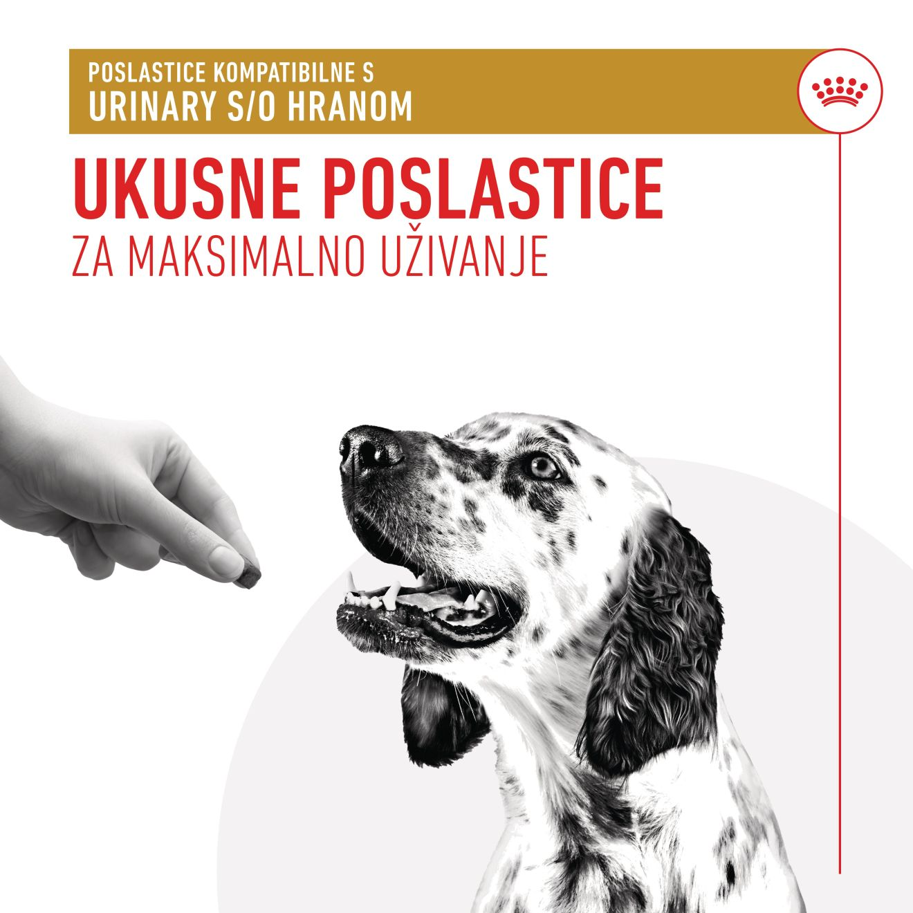 URINARY S/O VETERINARSKE POSLASTICE