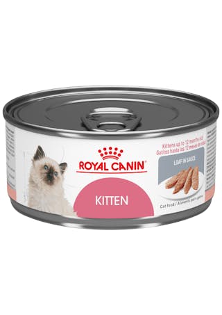 Kitten Loaf in Sauce lata