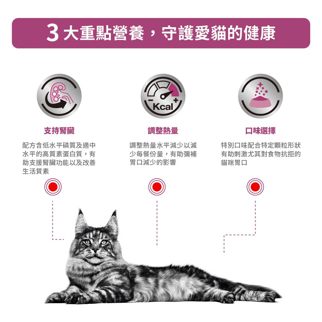 成貓腎臟處方袋裝濕糧（雞肉）