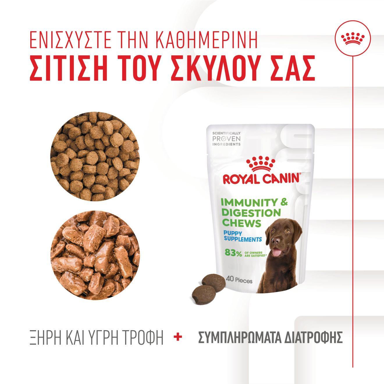 IMMUNITY & DIGESTION CHEWS
