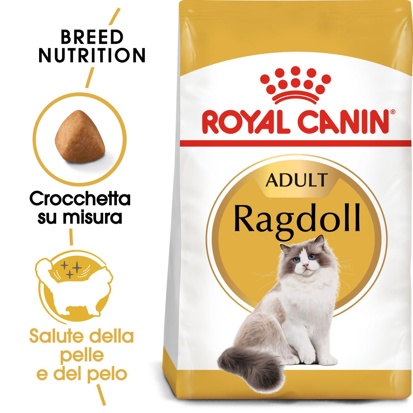 Ragdoll Adult
