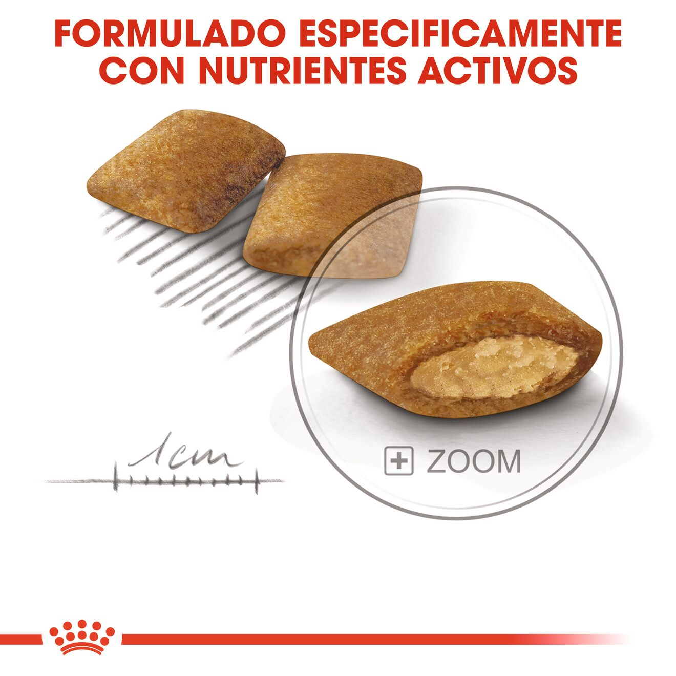 Mini Exigent