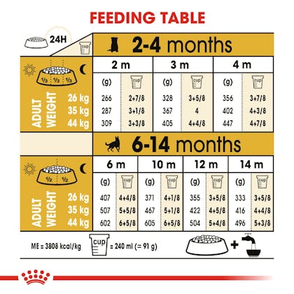 how much should i be feeding my german shepherd puppy