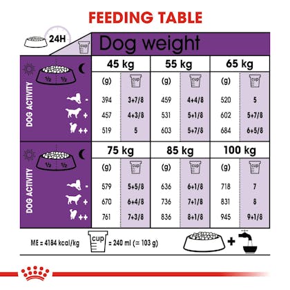 Toevoeging Tonen slank Giant Adult dry | Royal Canin