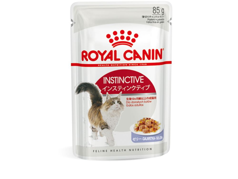 インスティンクティブ ゼリー（成猫用 ウェット） | Royal Canin JP