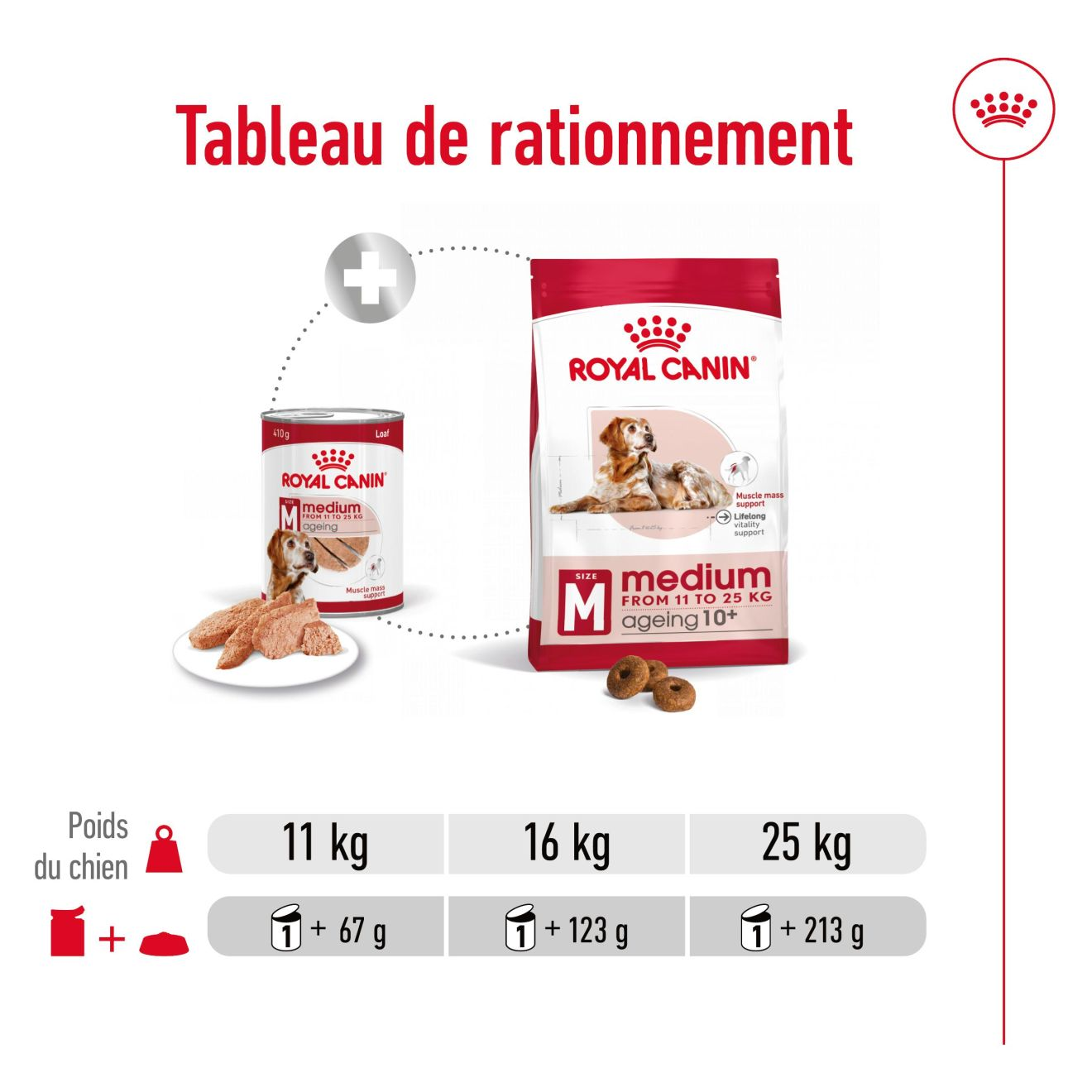Medium Ageing en mousse