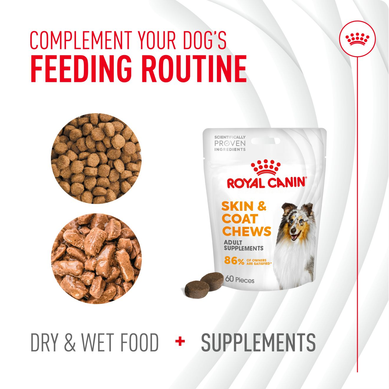 Adult Skin & Coat Supplement 240g