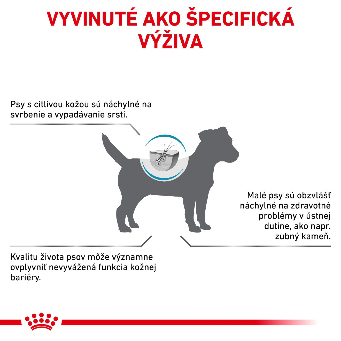  VHN Dog Skin Care Small Dog