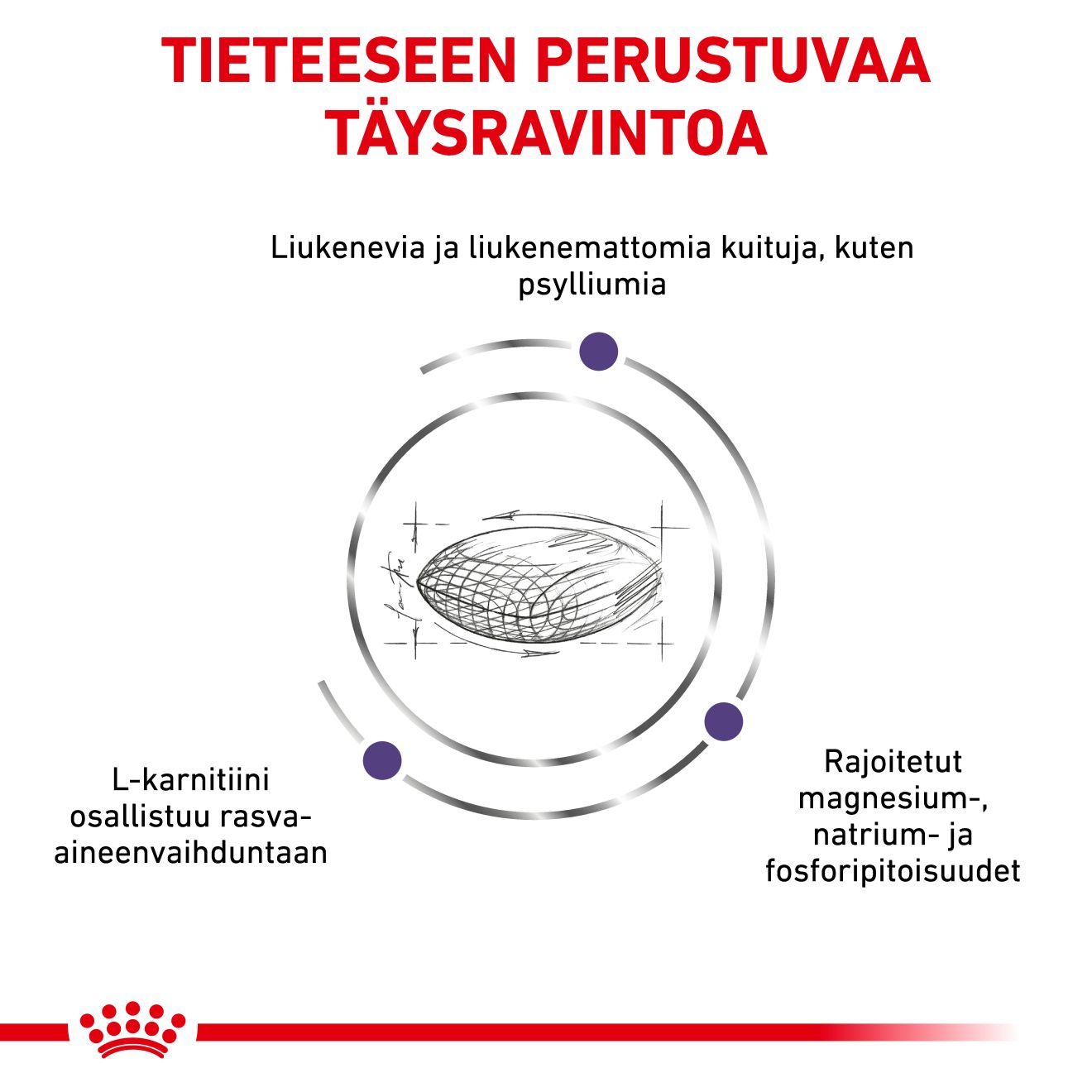 Health Neutered Satiety Balance