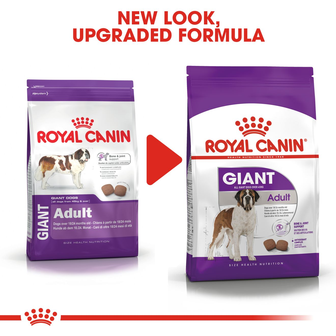 Toevoeging Tonen slank Giant Adult dry | Royal Canin