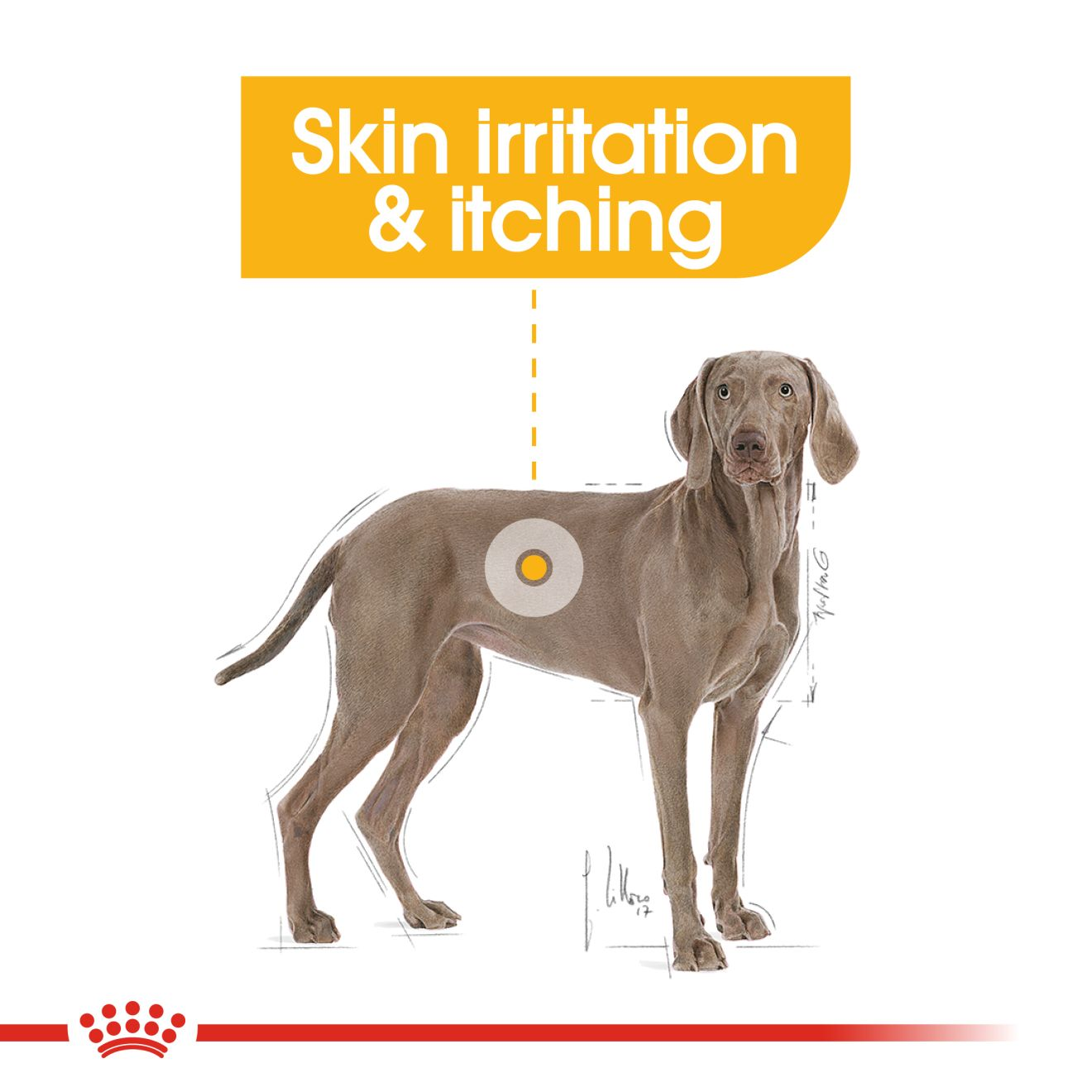 Royal canin 2024 itchy skin