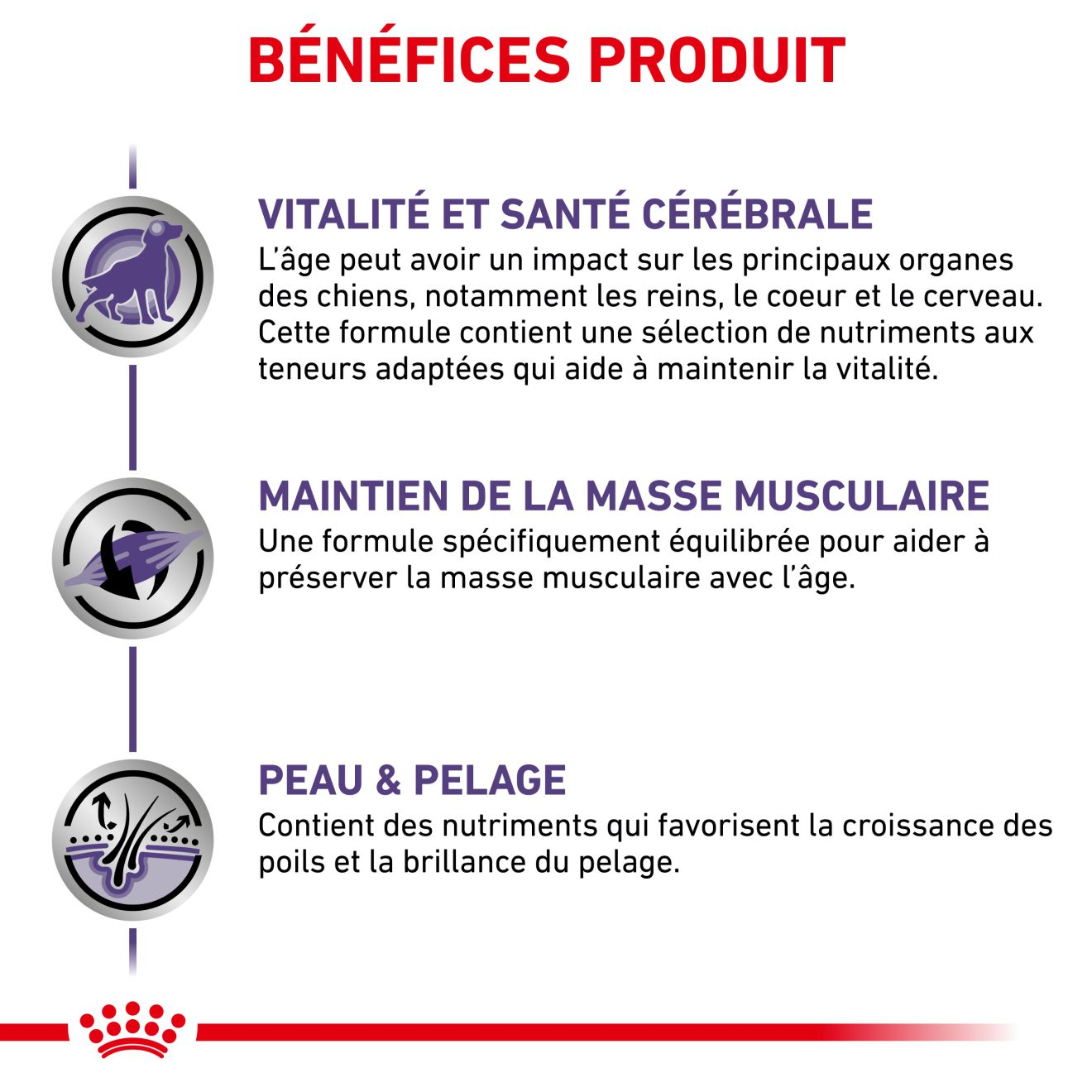 Mature Consult Medium Dogs - Aliment vétérinaire pour chien