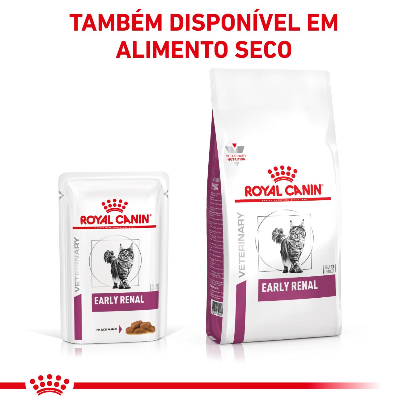 Early Renal fatias finas com molho