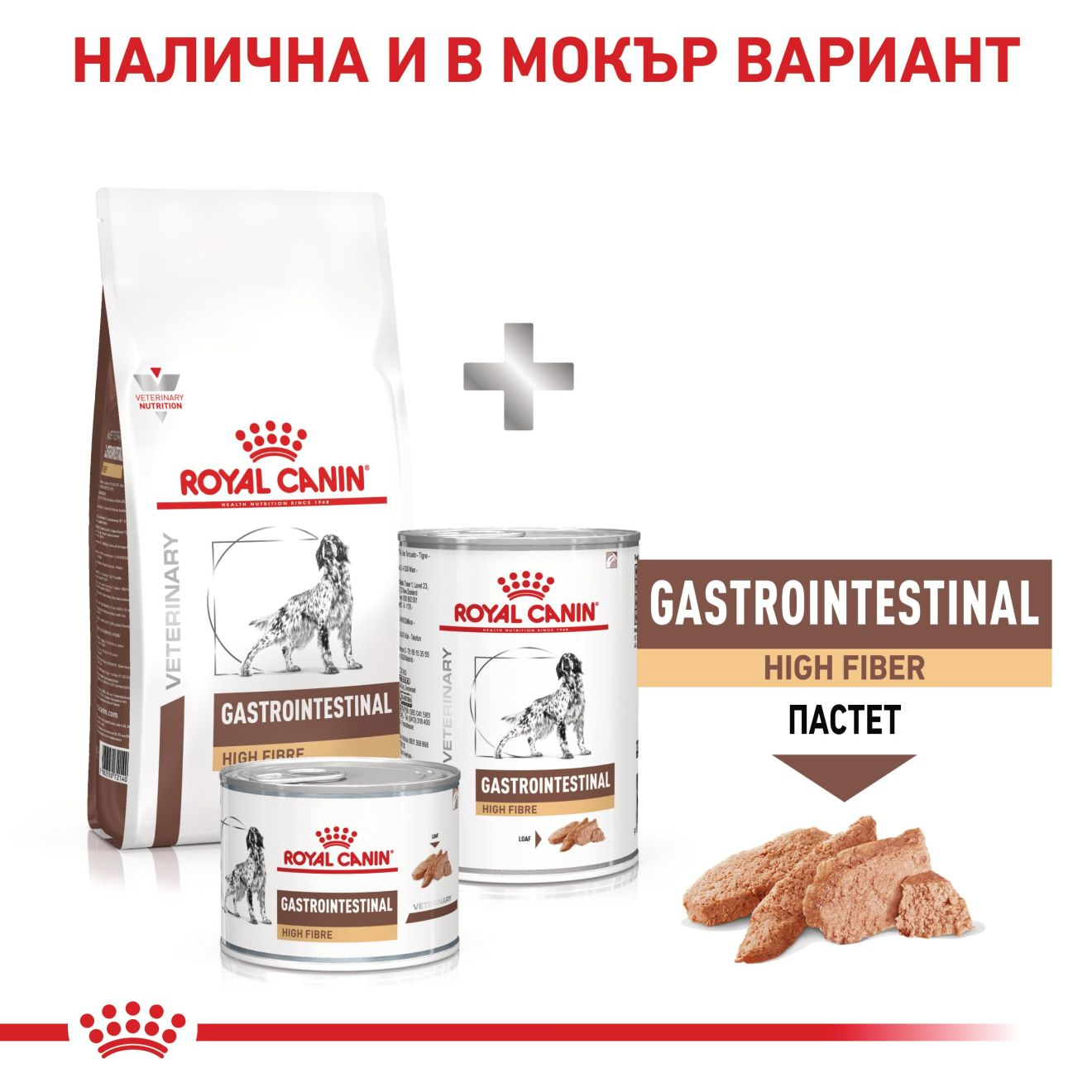 GASTROINTESTINAL HIGH FIBRE