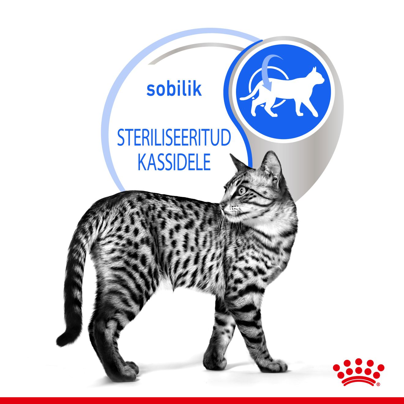 Royal Canin Indoor Sterilised 7+ konserv (õhukesed tükid kastmes)