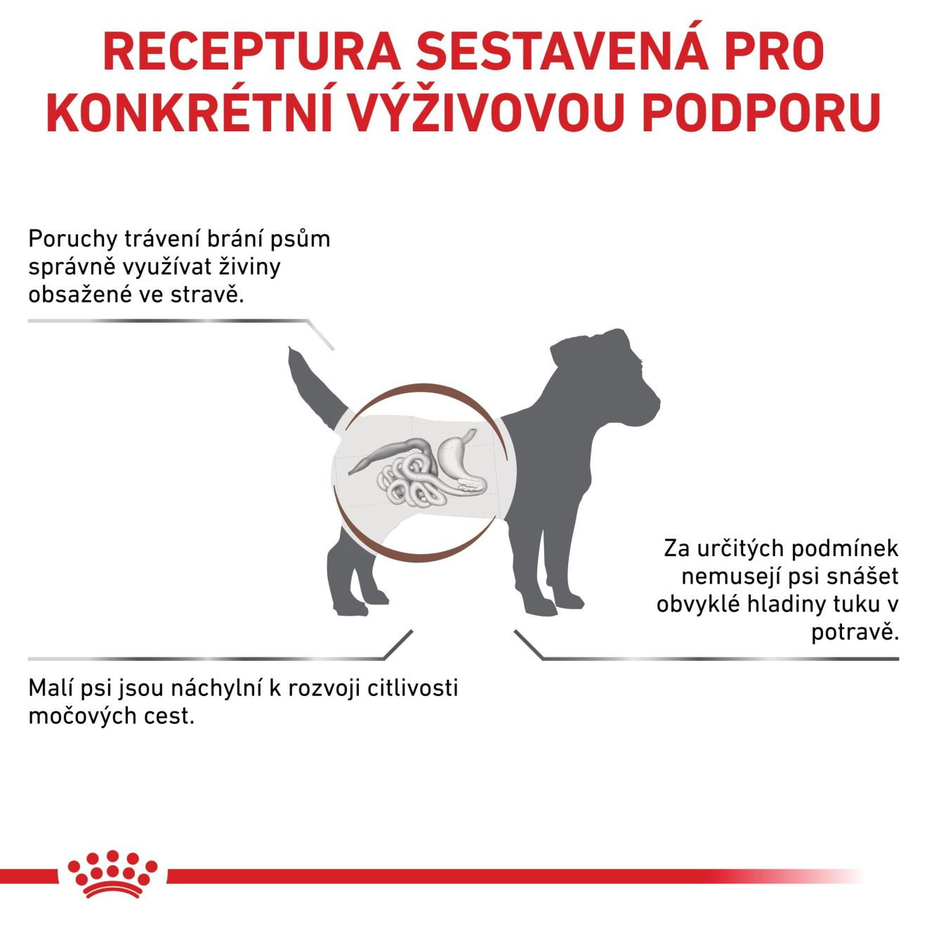 VHN DOG GASTROINTESTINAL LOW FAT SMALL DOG