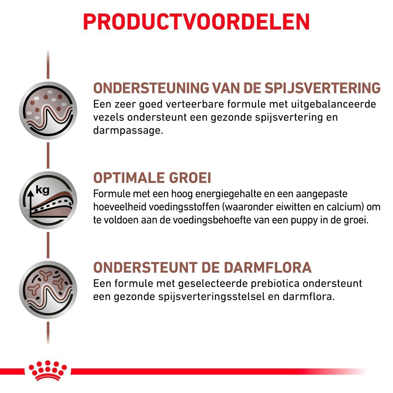 Gastrointestinal Puppy | Royal Canin NL