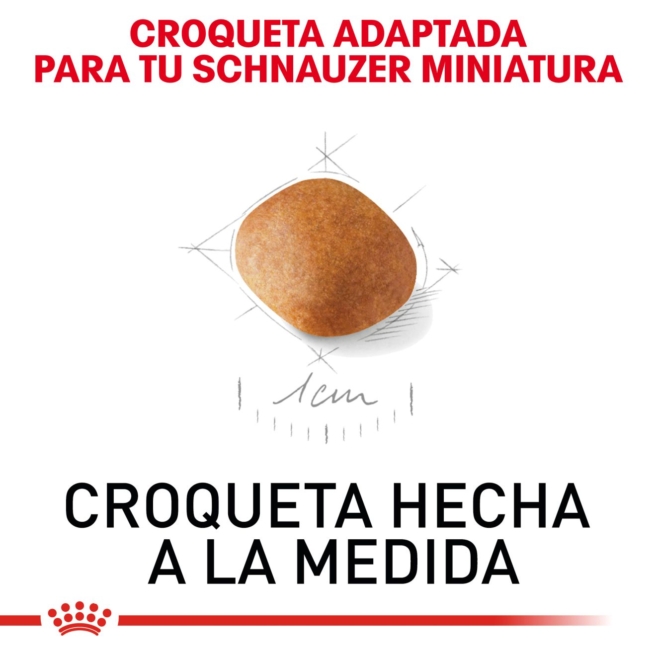 Schnauzer Miniatura Cachorro