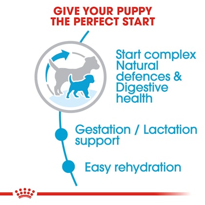 SHN-PuppyMiniStarter-CV-EretailKit-2