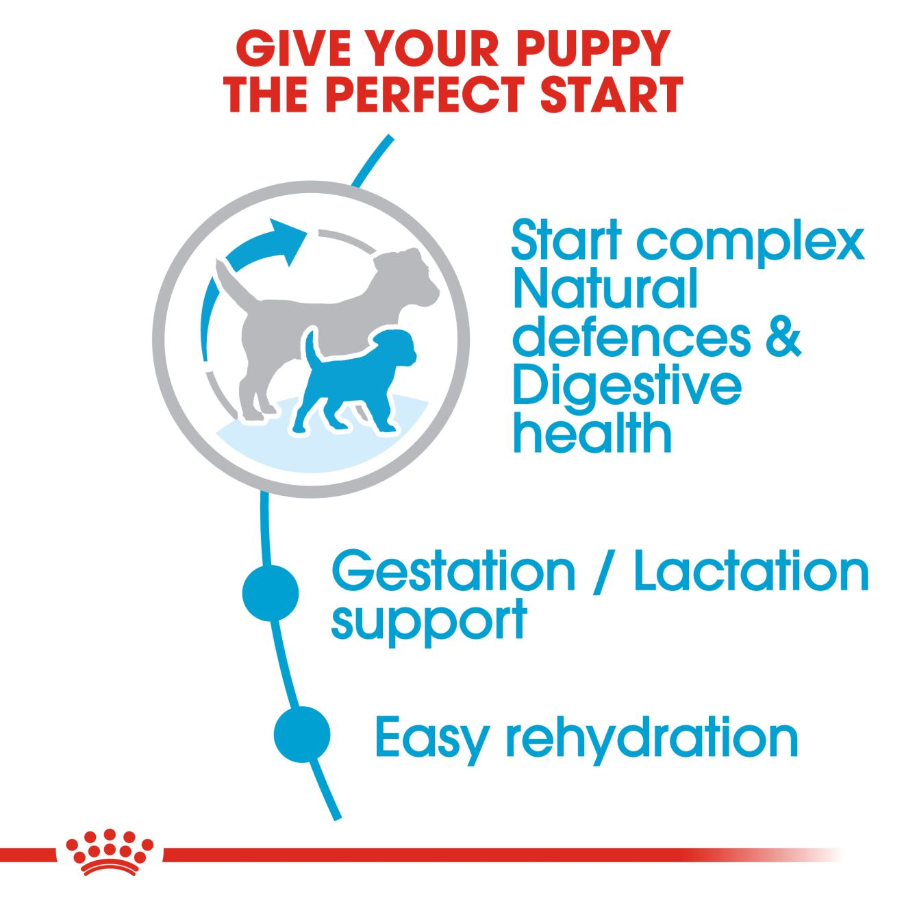 Royal canin store puppy mini starter