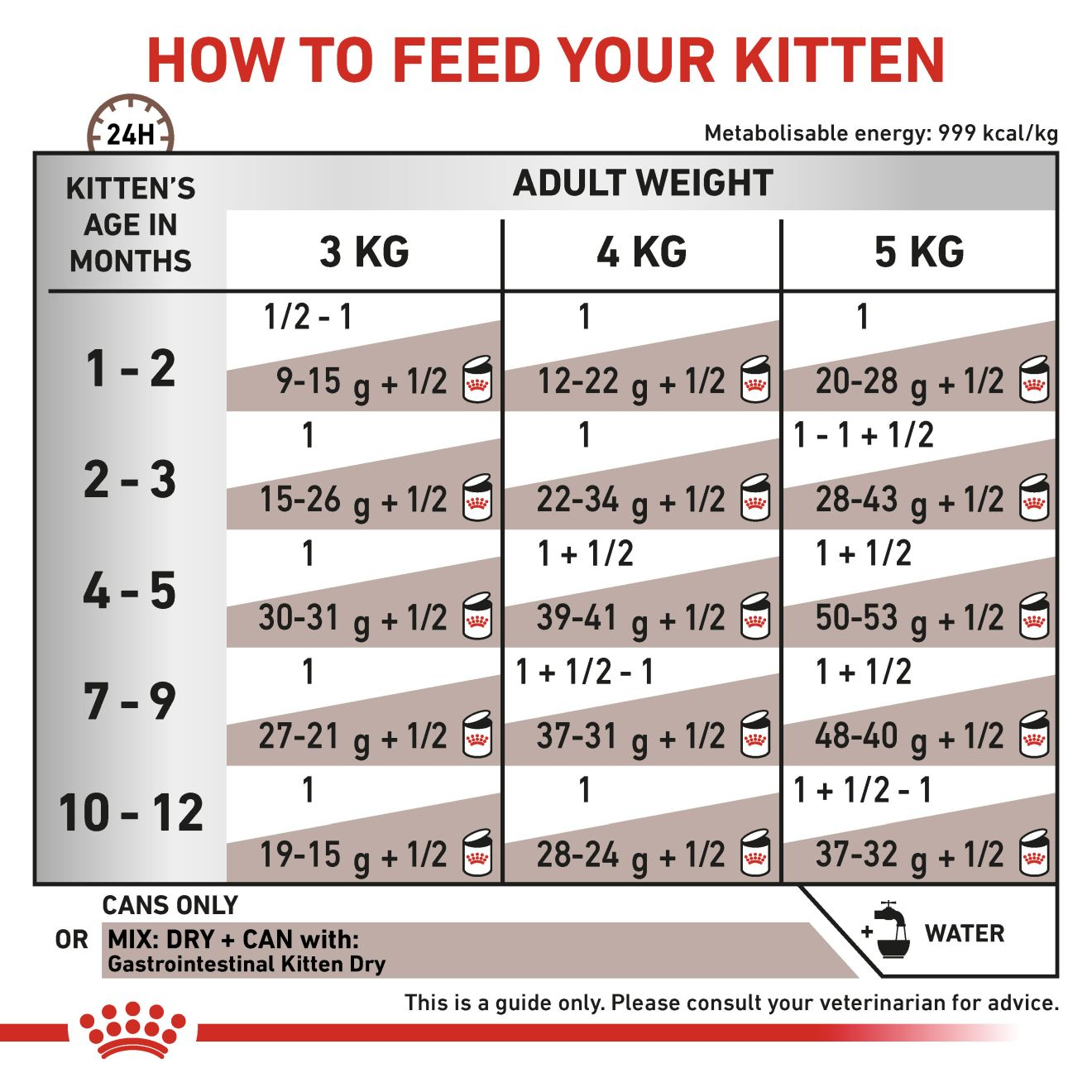 Royal canin kitten wet food feeding guide sale