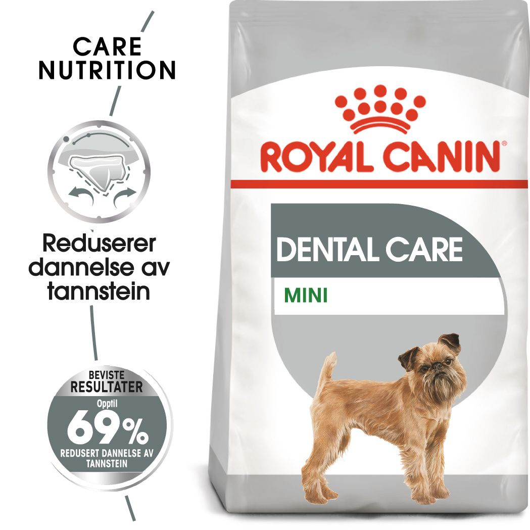 Dental Care Mini