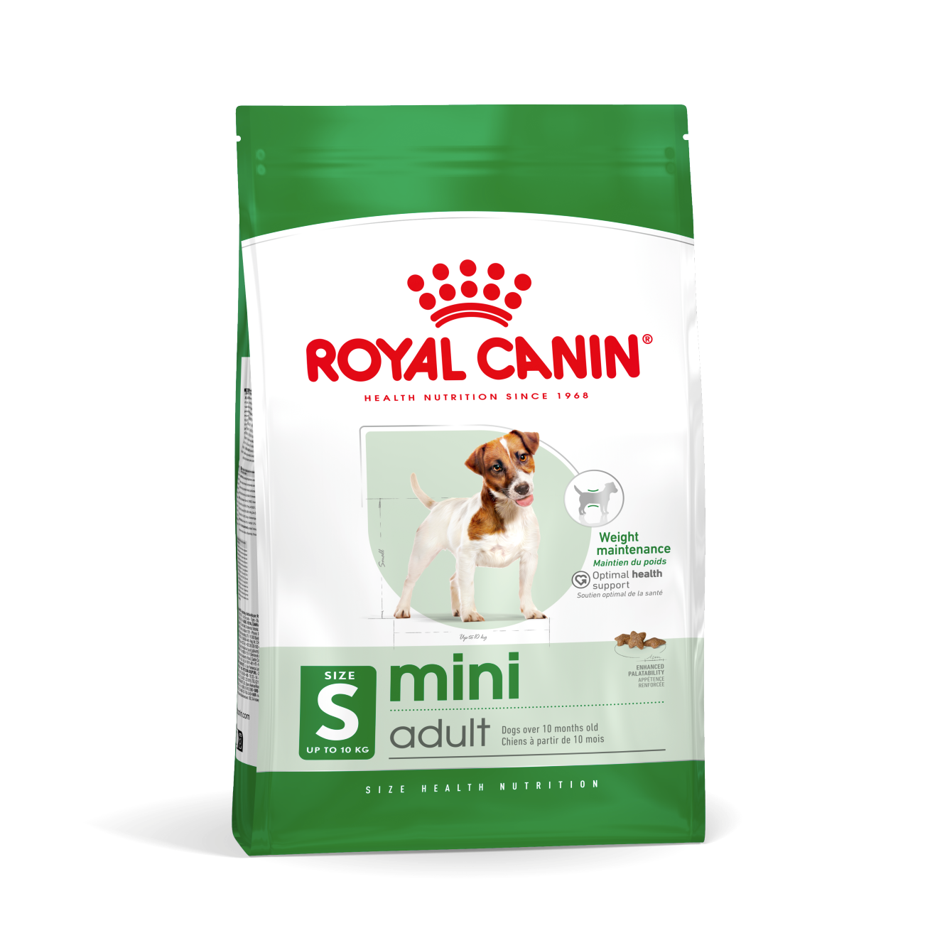 Jack Russell Terrier adult standing next to a small product pack