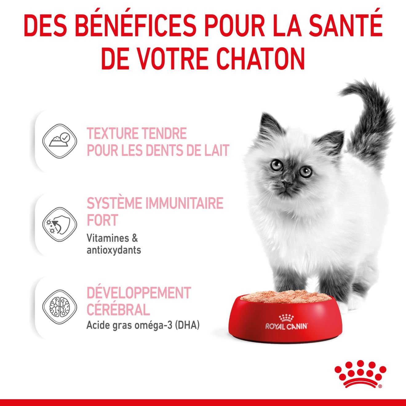 Kitten Mousse - Sachet fraîcheur pour chaton