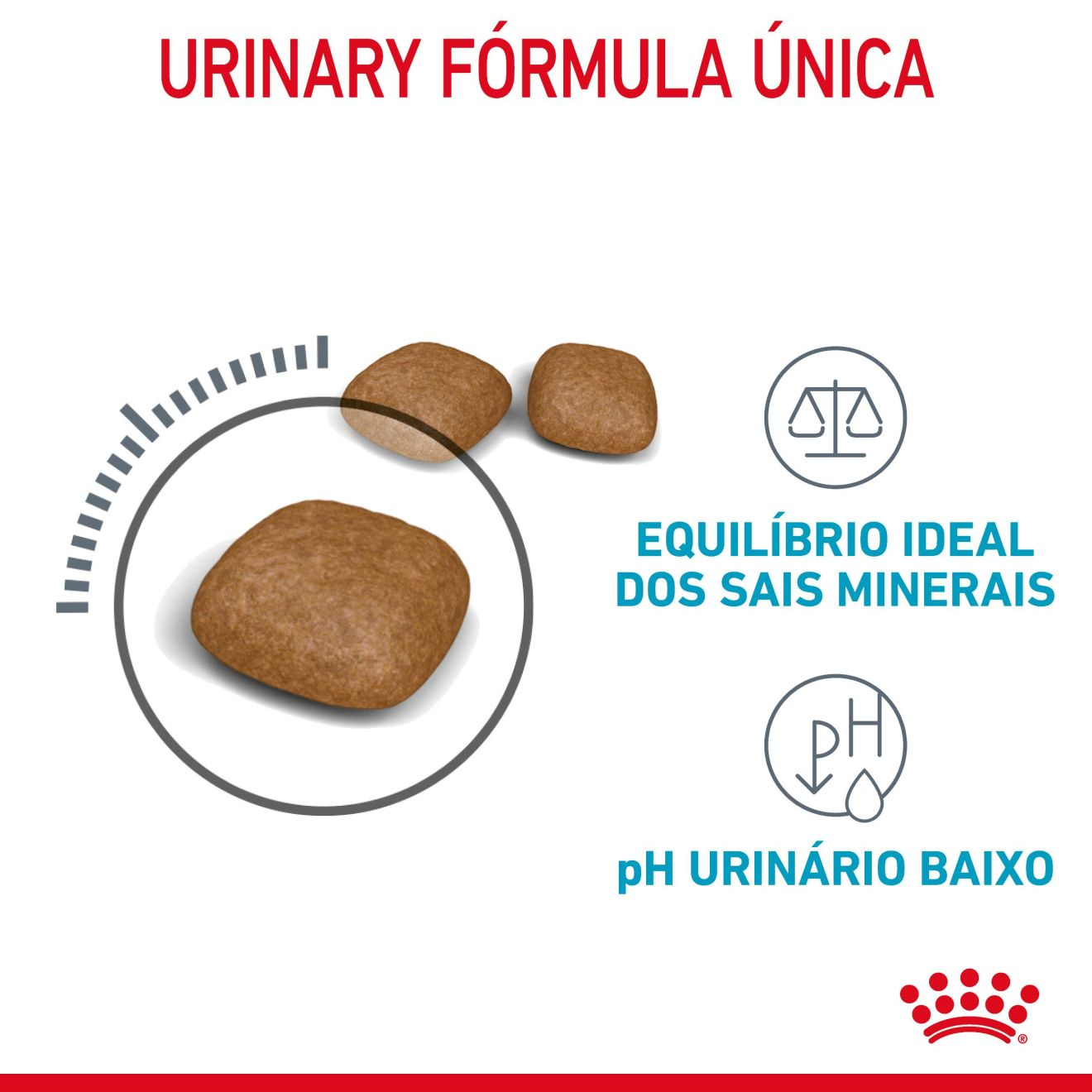 URINARY CARE