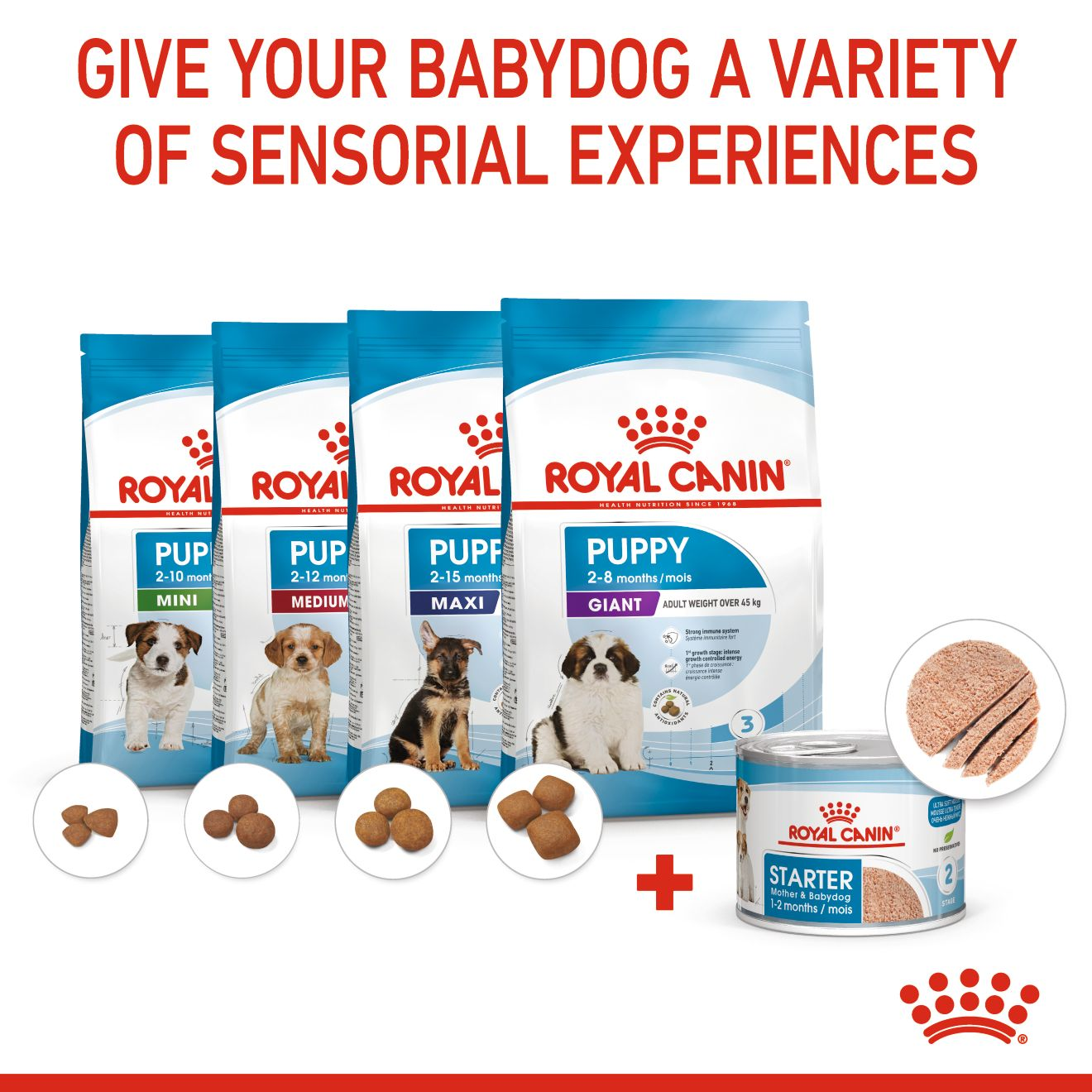 Royal canin hot sale weaning puppies