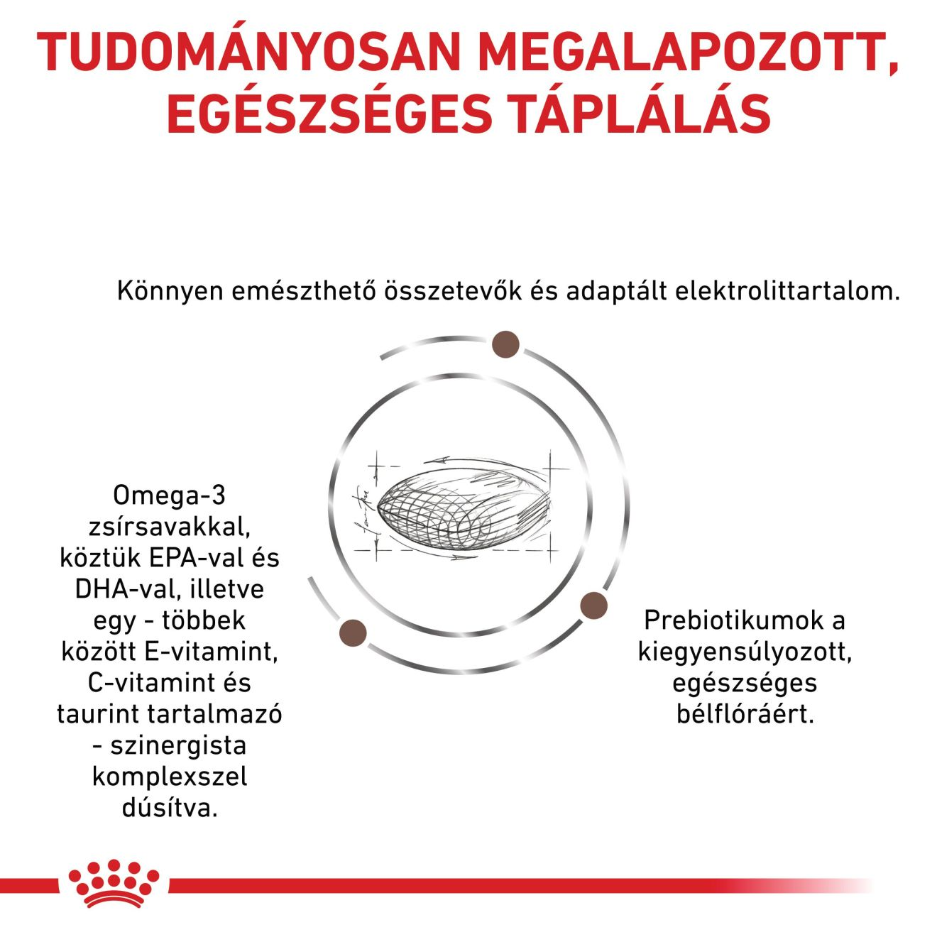 Gastrointestinal Hairball